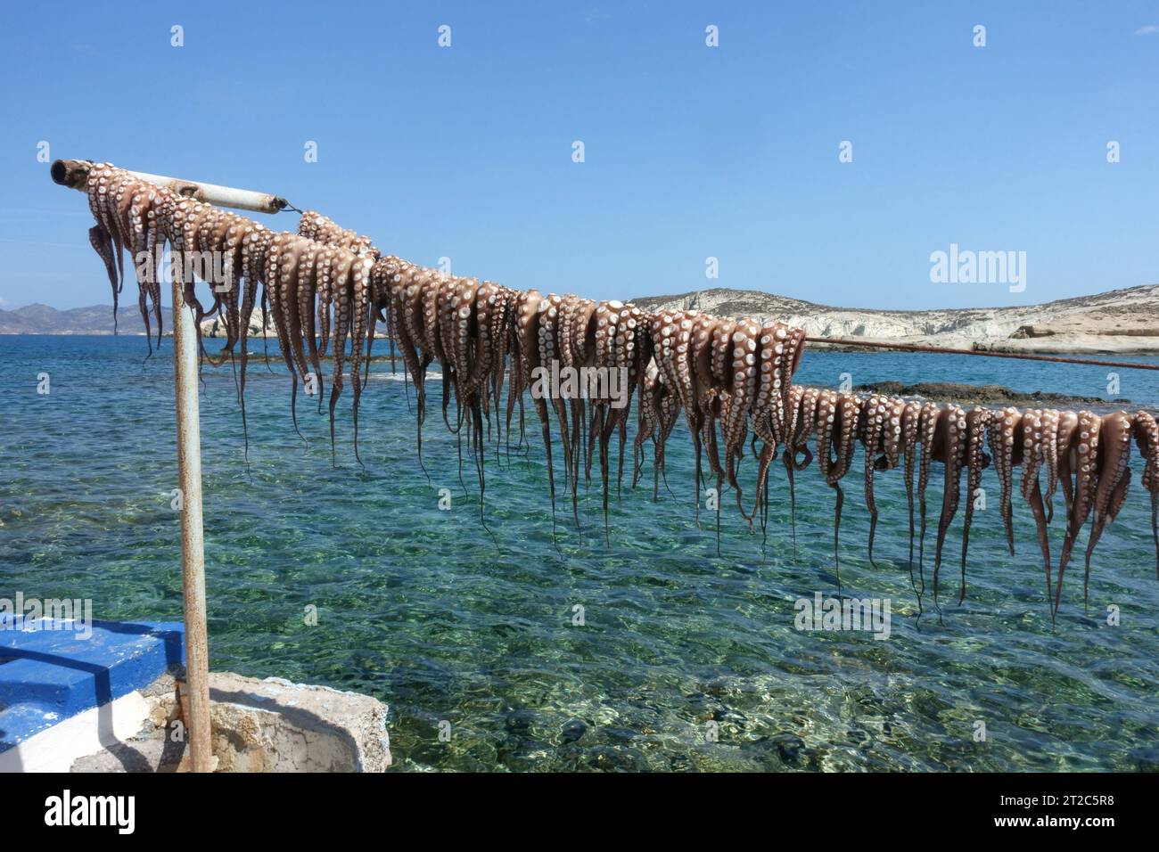 Poulpe séchant au soleil Grèce Banque D'Images