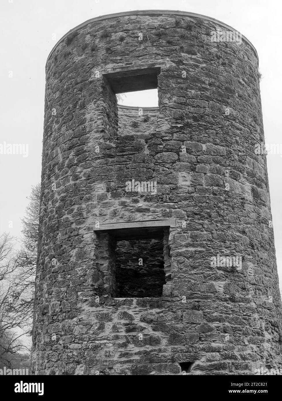 Ancienne tour celtique, château de Blarney en Irlande, architecture ancienne Banque D'Images