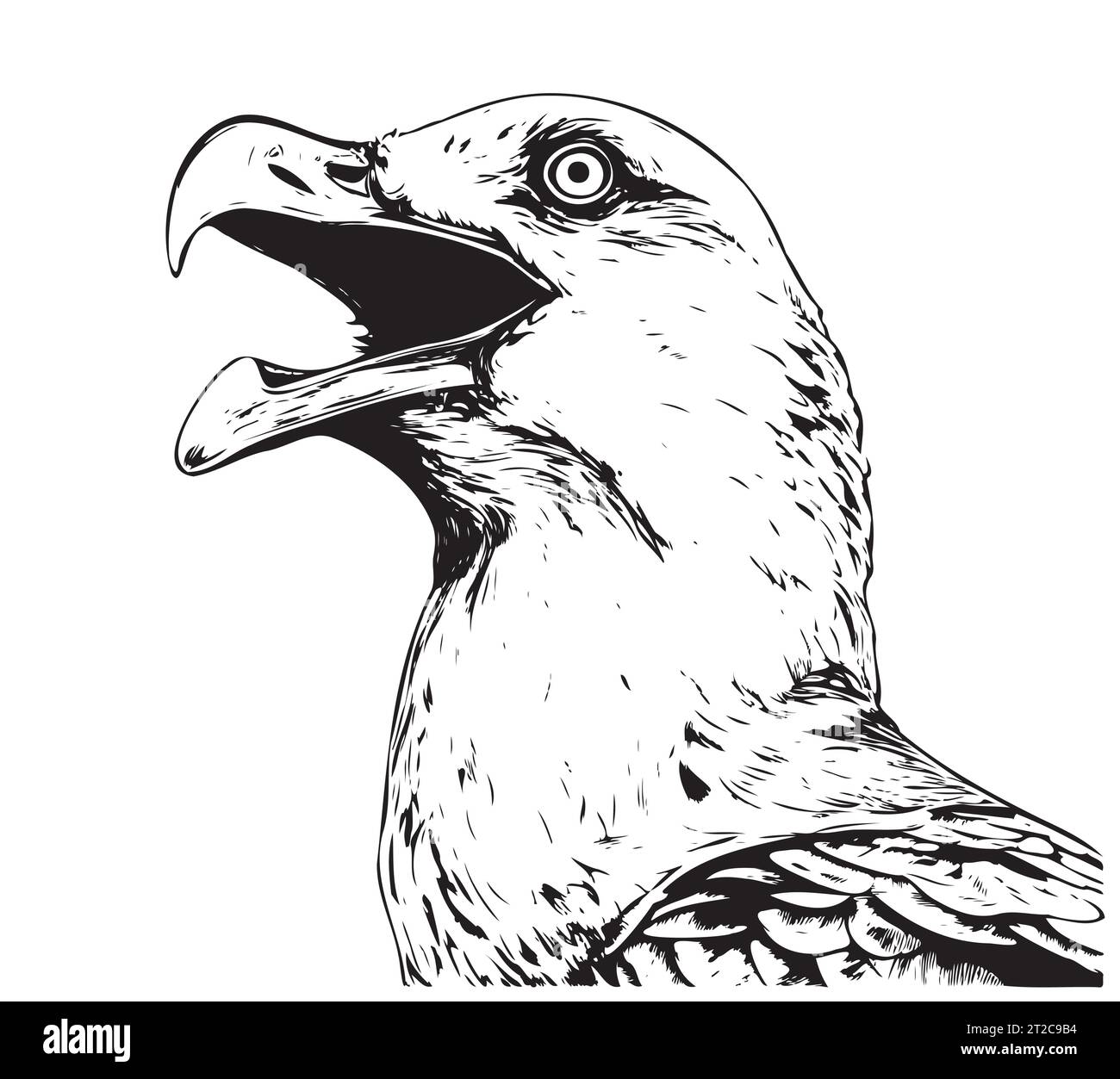 Sea Gull face croquis dessin vectoriel dessiné à la main oiseaux Illustration de Vecteur