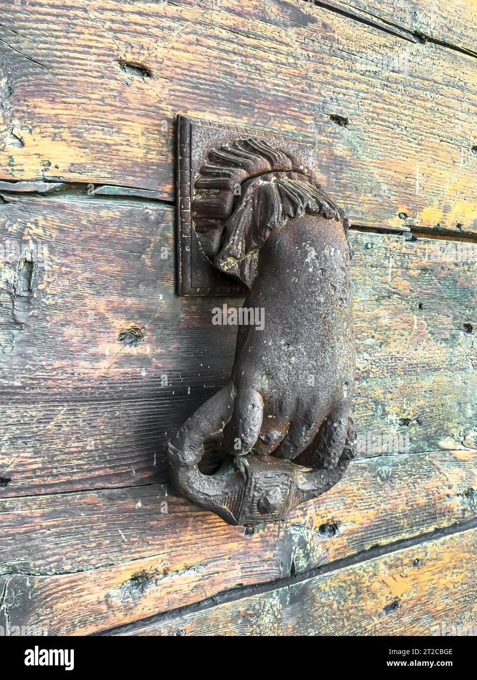 Heurtoir de porte antique dans une vieille maison, forme d'une main. Porte en bois. Banque D'Images