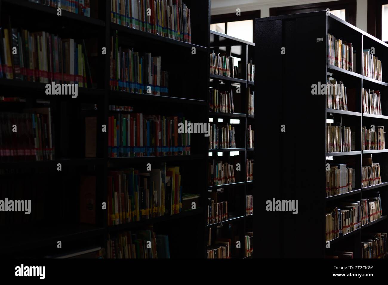 Étagères avec des livres dans une bibliothèque avec lumière naturelle de l'arrière-plan Banque D'Images