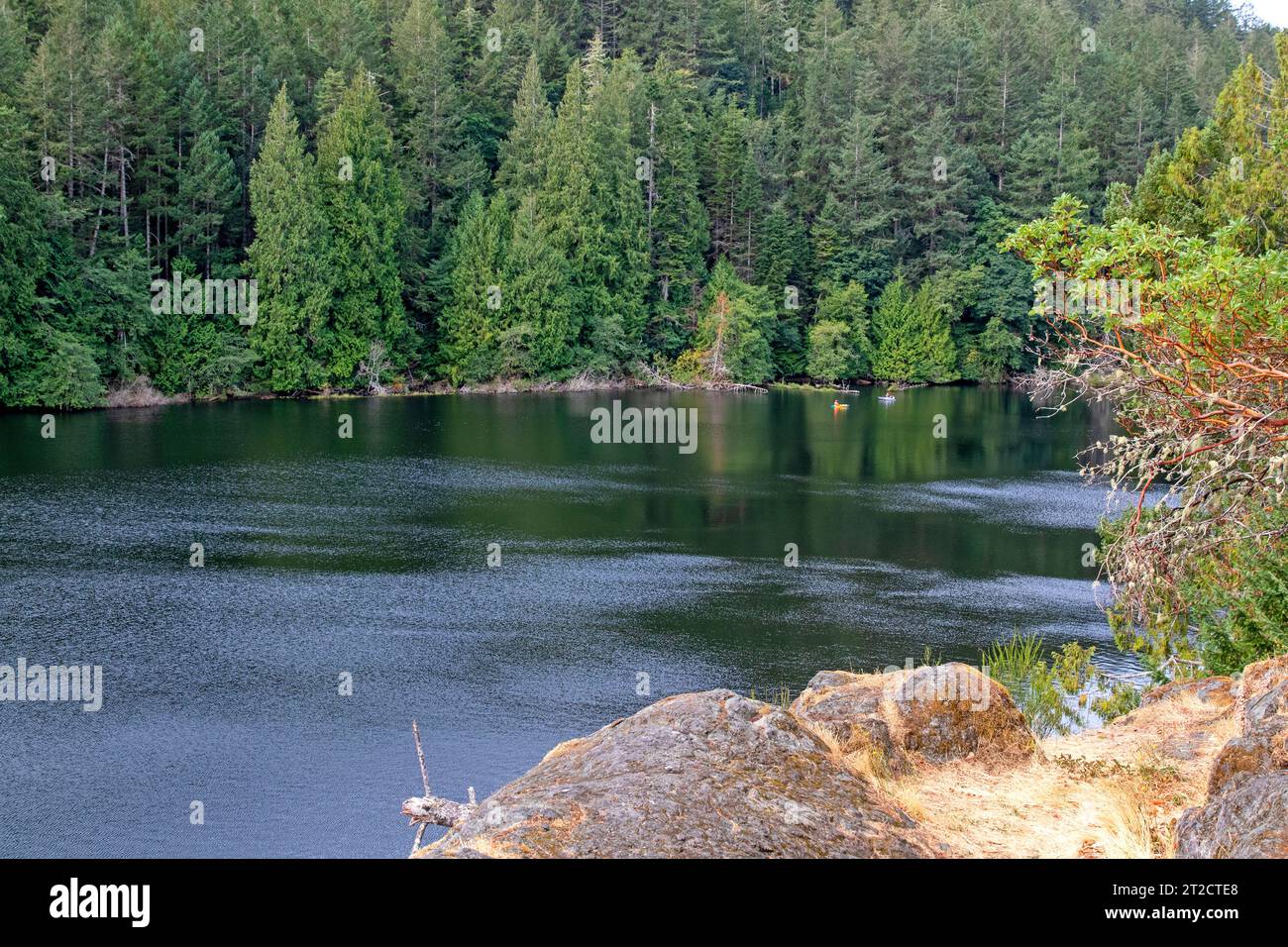 Lac Matheson, île de Vancouver Banque D'Images