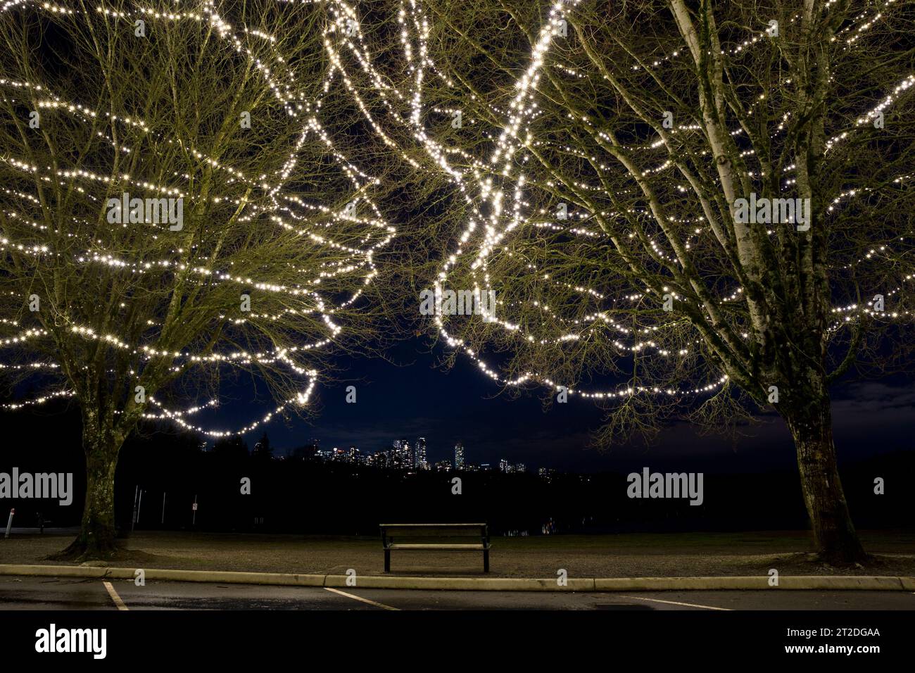 Les arbres se sont illuminés par des lumières de vacances sur la rive du lac Deer à Burnaby, en Colombie-Britannique, par une nuit d'hiver. Banque D'Images