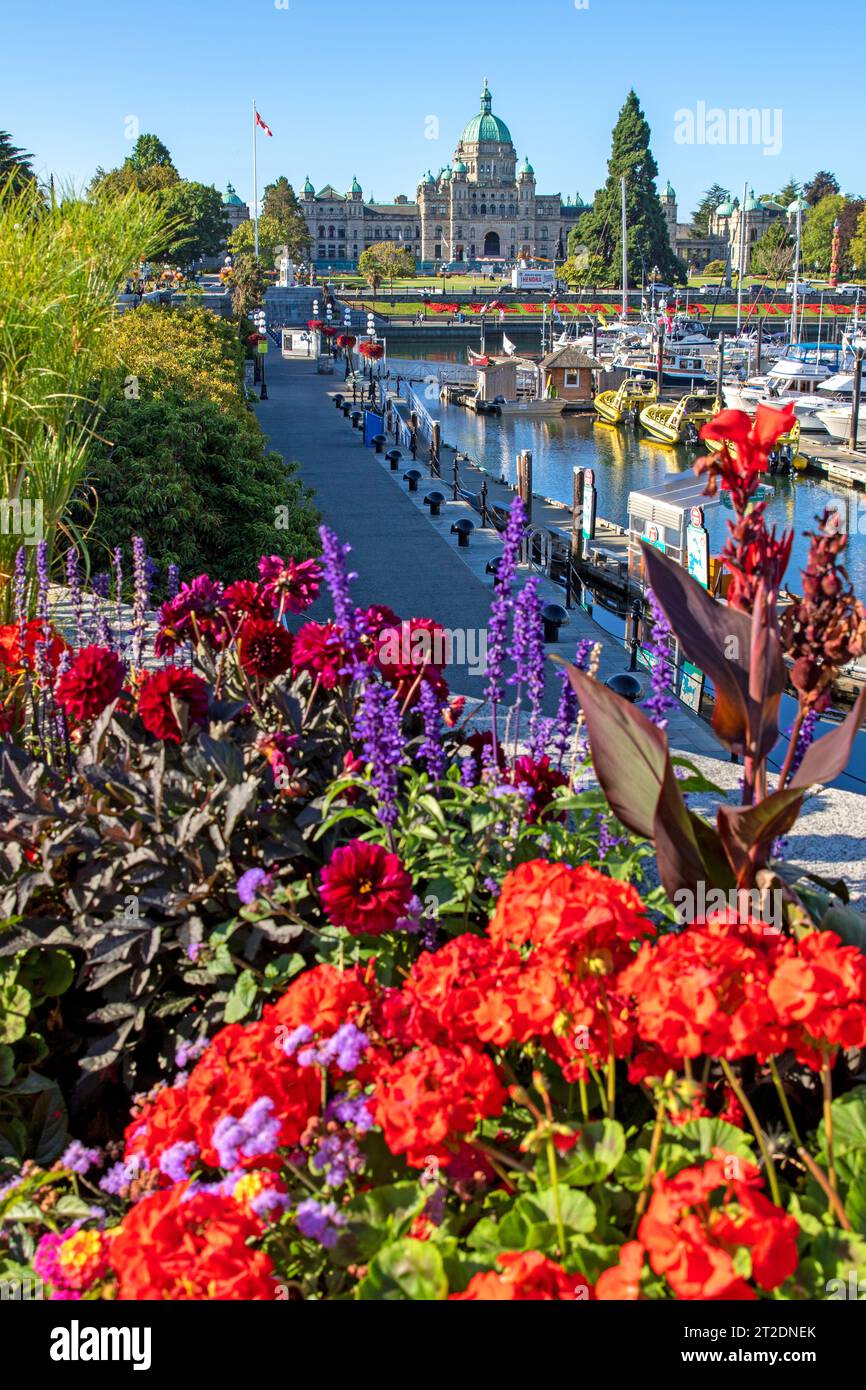 Arrière-port, Victoria, île de Vancouver Banque D'Images