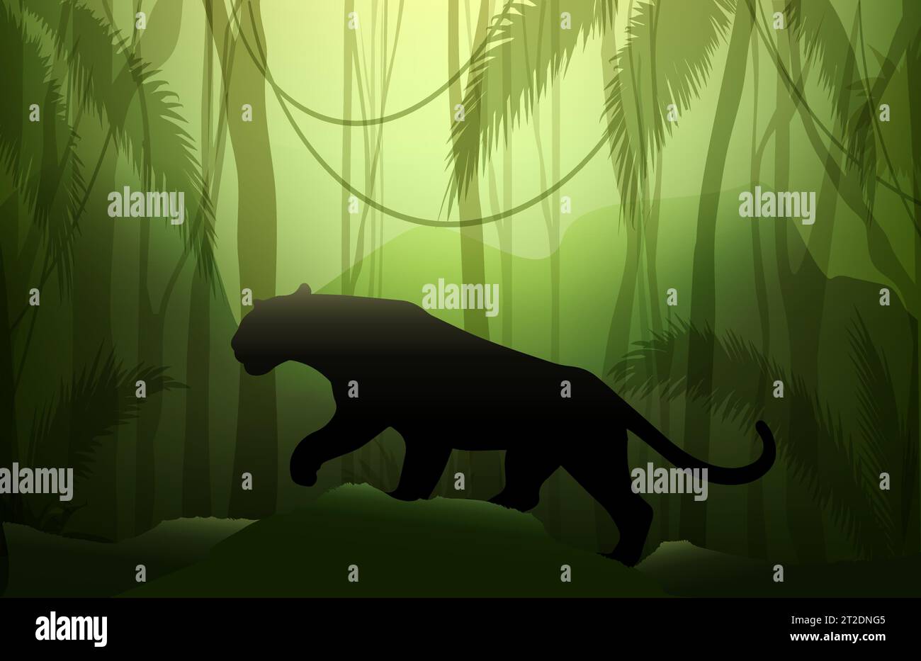 Chasse Panther rampant dans la forêt tropicale sauvage. Illustration vectorielle. Illustration de Vecteur