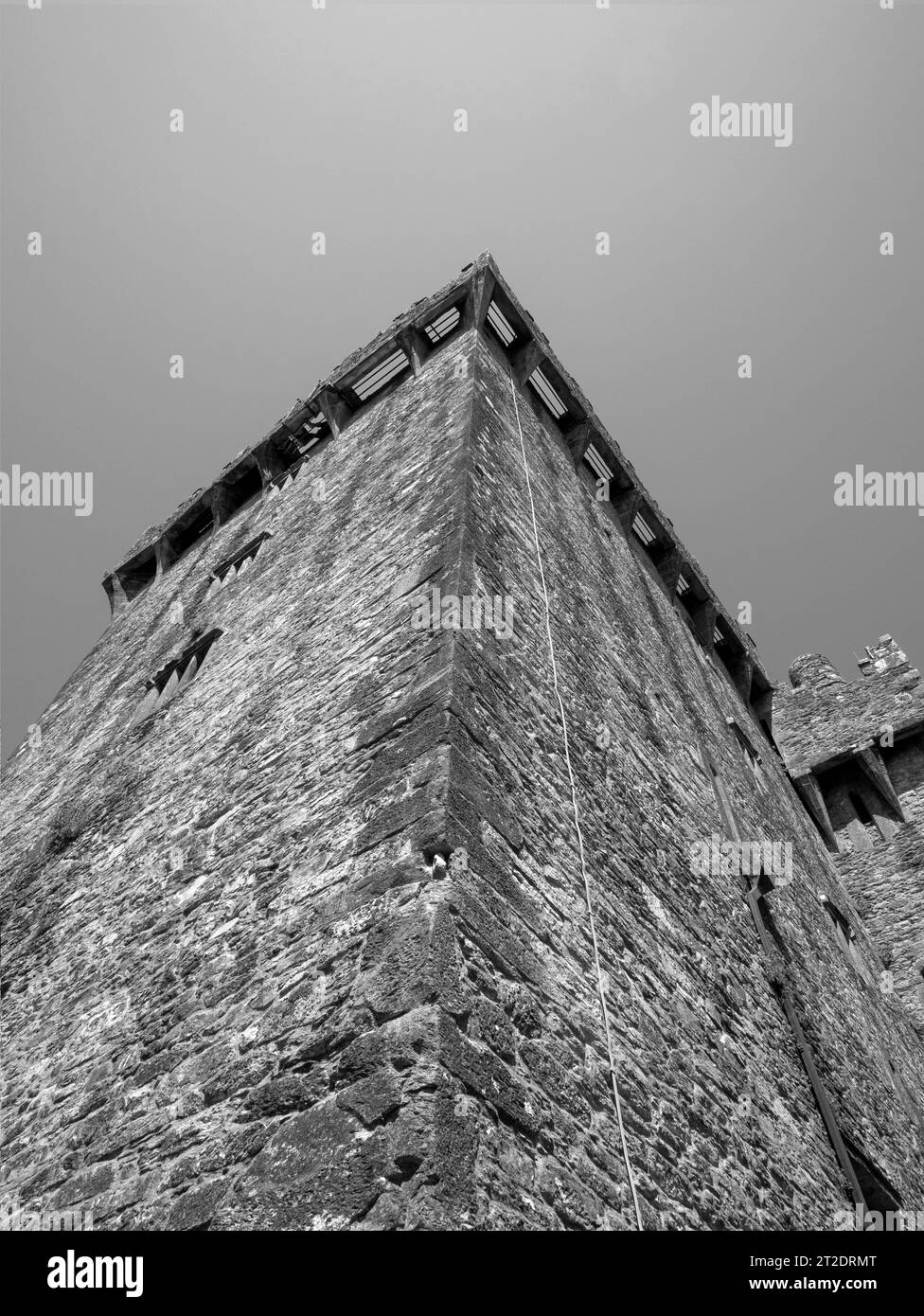 Ancienne tour de château celtique sur fond bleu ciel, château de Blarney en Irlande, forteresse celtique Banque D'Images