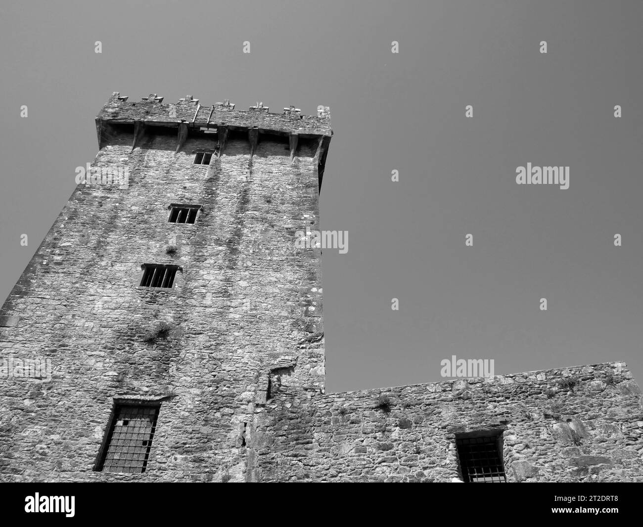 Ancienne tour du château celtique, château de Blarney en Irlande, ancienne forteresse celtique Banque D'Images