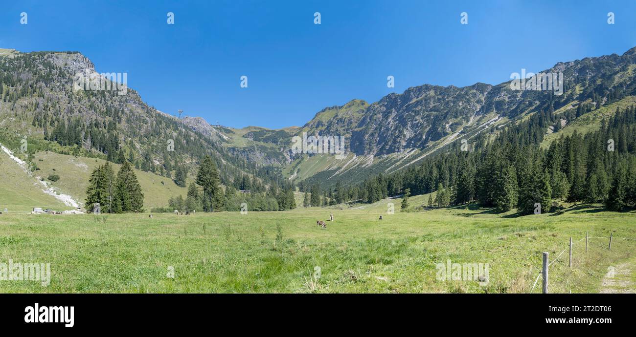 Paysage de montagne regardant à l'est de la station Nebelhorn bahn Seealpe, tourné sous la lumière d'été, Oberstodorf, Allgaeu, Bavière, Allemagne Banque D'Images