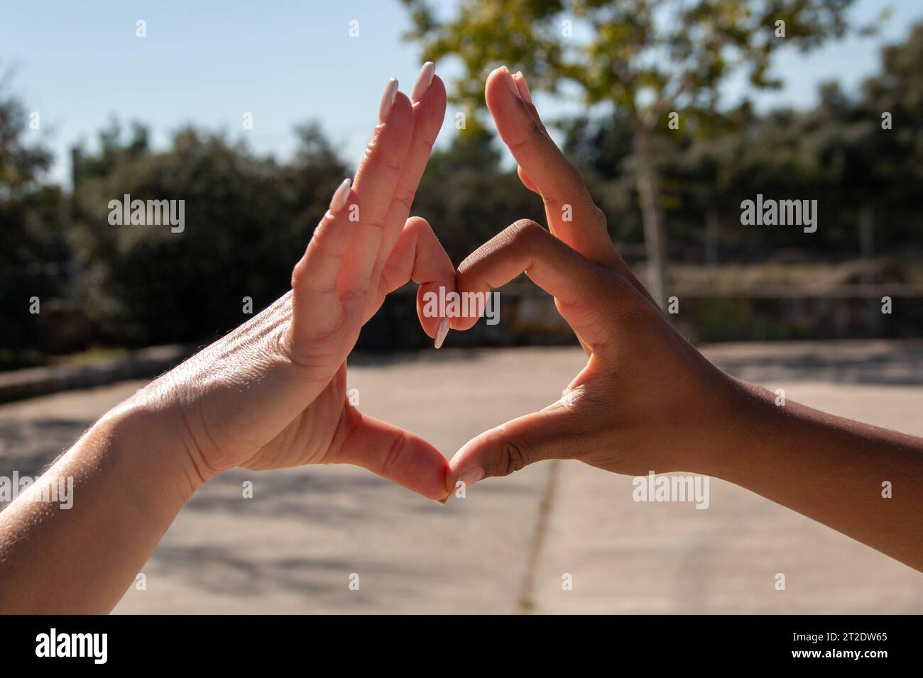 Mains de différentes ethnies, africaines et européennes, formant un cœur avec leurs doigts. Concept d'amour, d'amitié, d'égalité Banque D'Images