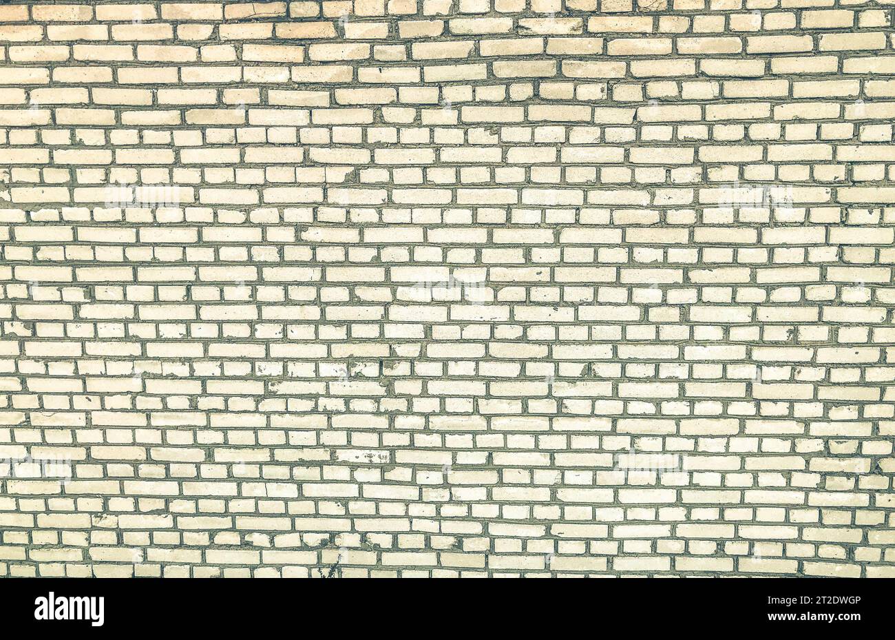 mur de briques blanches. texture de petites briques de béton blanchies. décoration graphique du mur du bâtiment. rénovation élégante et design. surface peinte. Banque D'Images