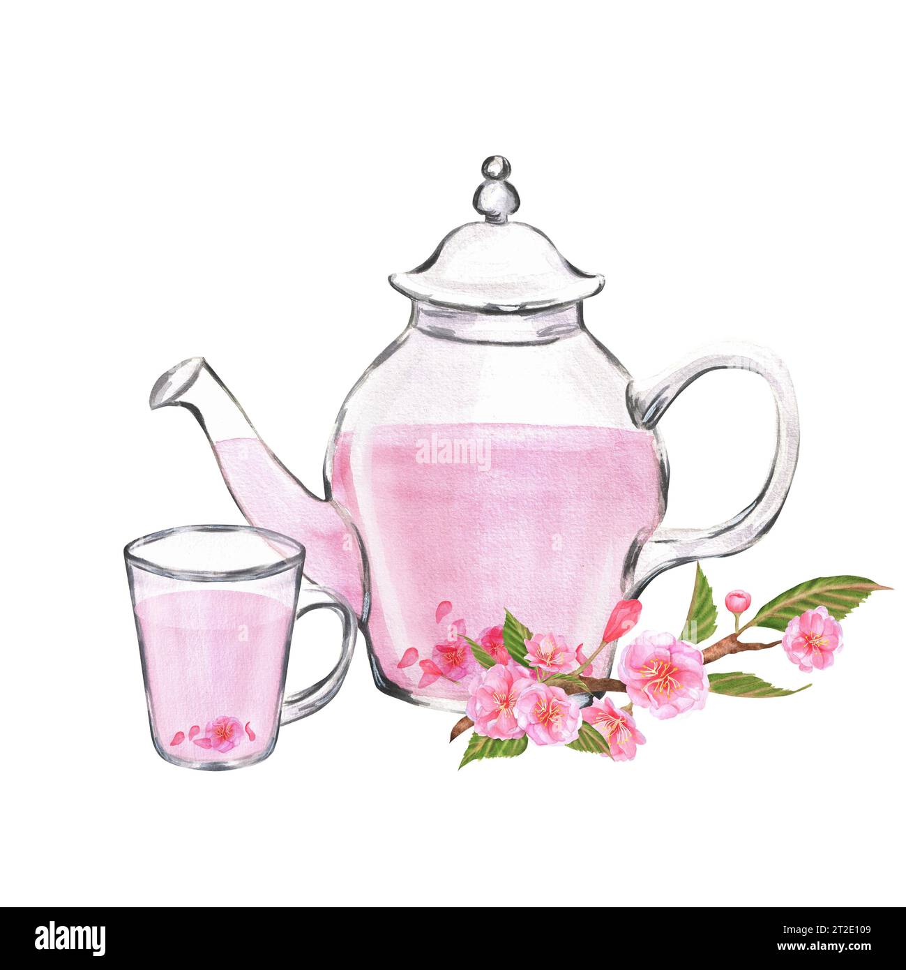 Illustration à l'aquarelle dessinée à la main. Théière en verre et une tasse avec thé sakura et branche sakura près de lui Banque D'Images