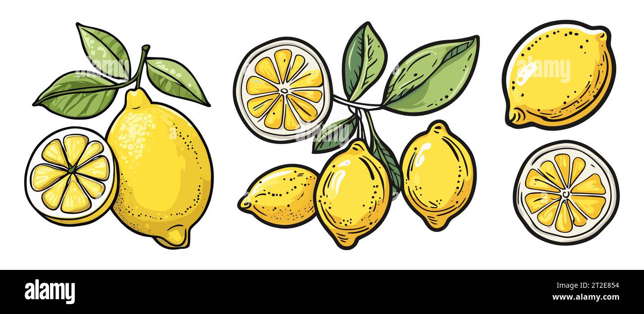 Ensemble vectoriel de citrons abstraits dessinés à la main isolé. Illustration de Vecteur