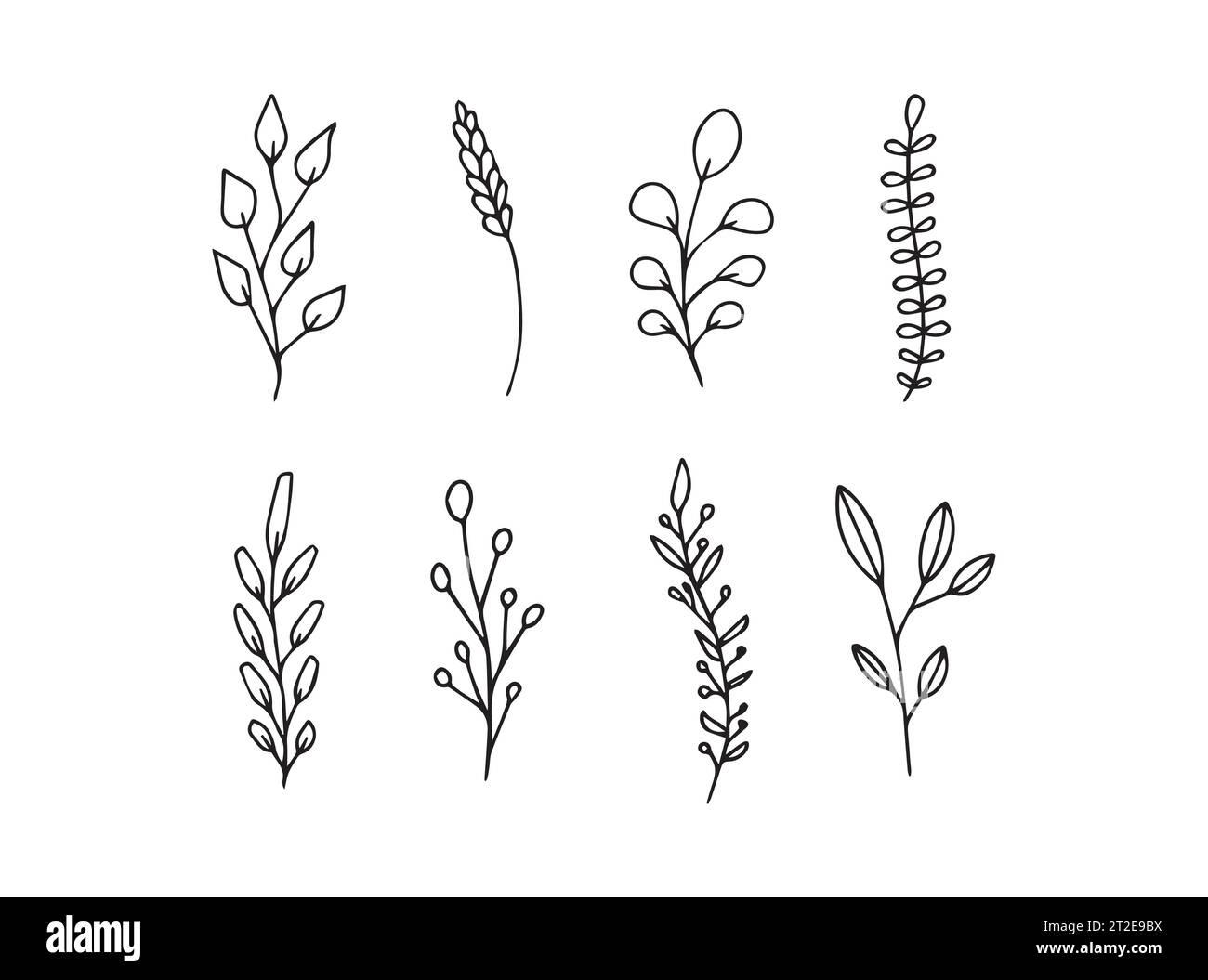 Illustration d'éléments de plantes de nature noire sur fond blanc Illustration de Vecteur