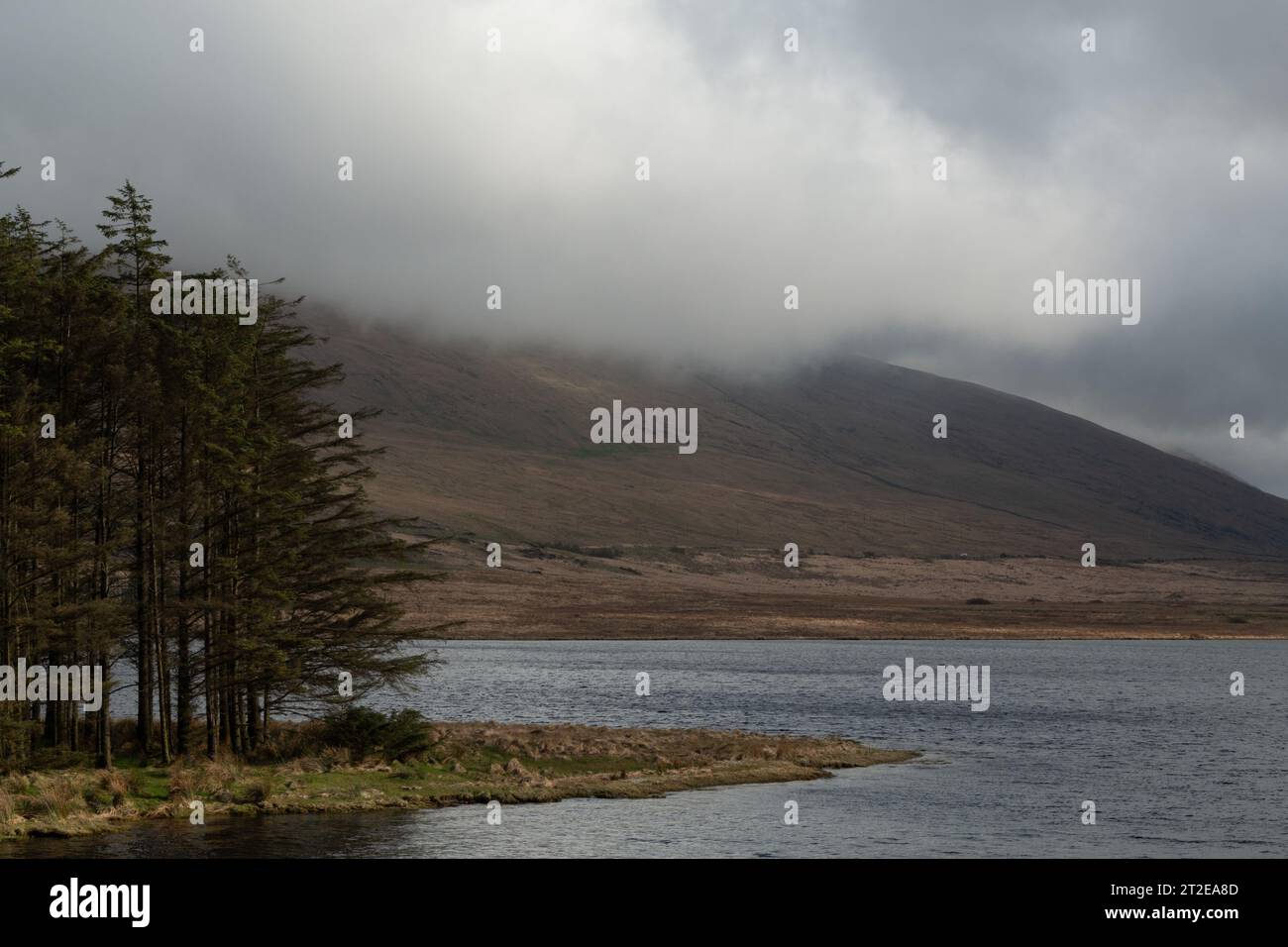 Les montagnes de Mourne, Co. Down, Irlande du Nord, Royaume-Uni Banque D'Images