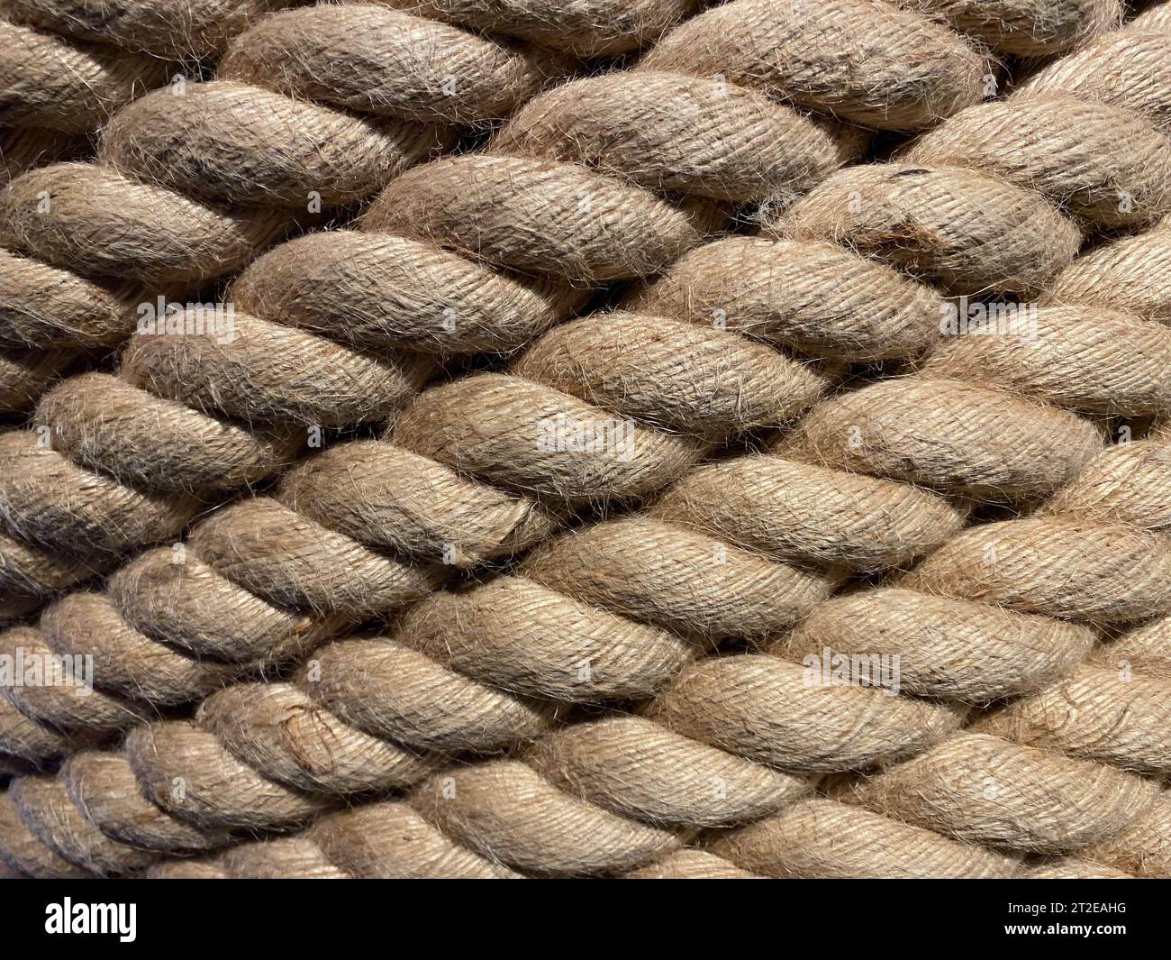 Brins diagonaux d'une nouvelle corde épaisse de sisal et de chanvre avec des fibres tressées torsadées dans une texture de fond de gros plan plein cadre. Banque D'Images