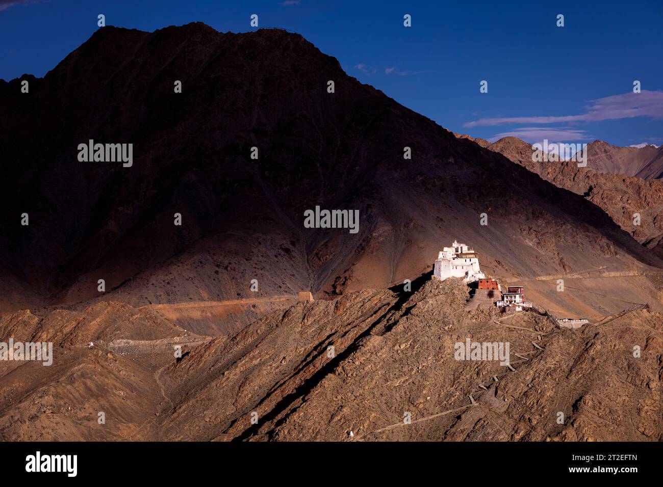 Namgyal Tsemo Gompa (monastère), Leh, Ladakh, Inde Banque D'Images