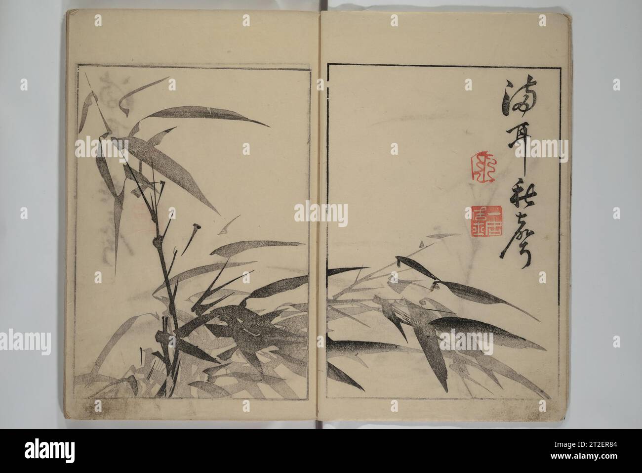 Shazanrō (Bunchō) Picture Book (Shazanrō ehon 寫山樓畫本) Tani Bunchō 谷文晁 Japanese 1811, (Bunka 8) ; 1817 Voir plus. Shazanrō (Bunchō) Picture Book (Shazanrō ehon 寫山樓畫本?). Tani Bunchō 谷文晁 (japonais, 1763-1840). Japon. 1811, (Bunka 8) ; 1817. Livre imprimé sur bois ; encre et couleur sur papier. Période Edo (1615-1868). Livres illustrés Banque D'Images