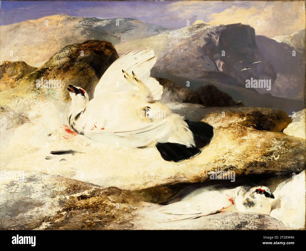 Sir Edwin Henry Landseer, Ptarmigan dans un paysage, peinture à l'huile sur panneau, avant 1833 Banque D'Images