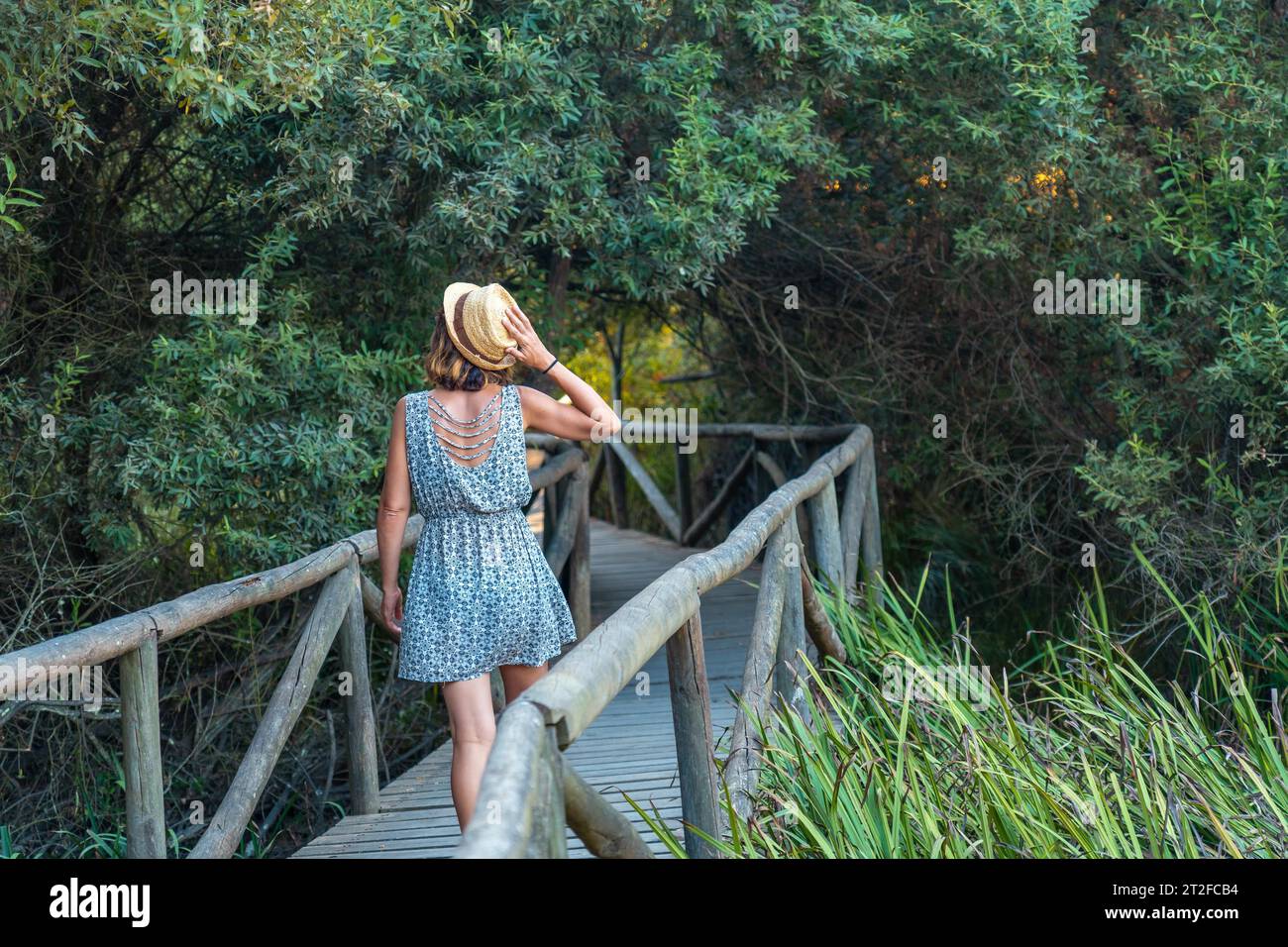 Passerelle en bois avec une promenade touristique à travers le parc naturel Donana, Huelva. Andalousie Banque D'Images