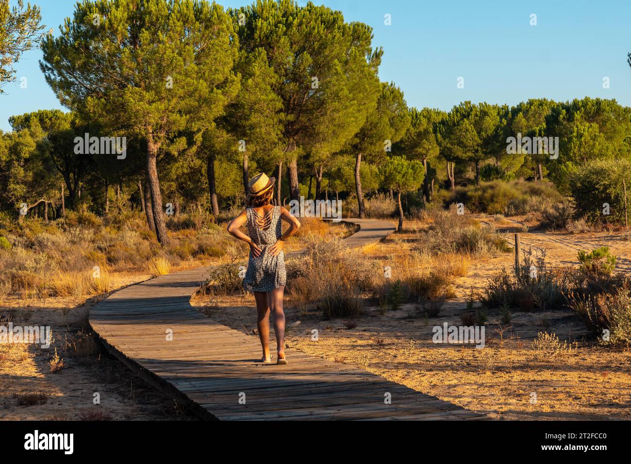 Une jeune femme sur la passerelle en bois faisant une promenade à l'intérieur du parc naturel Donana, Huelva Banque D'Images