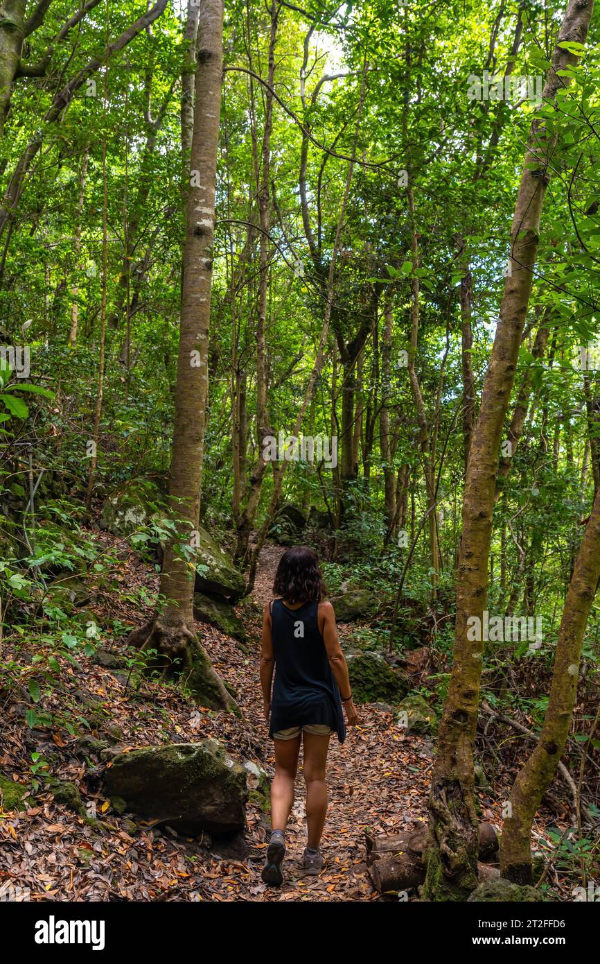 Une jeune femme sur le sentier de trekking du parc naturel Los Tinos sur la côte nord-est de l'île de la Palma, îles Canaries. Espagne Banque D'Images