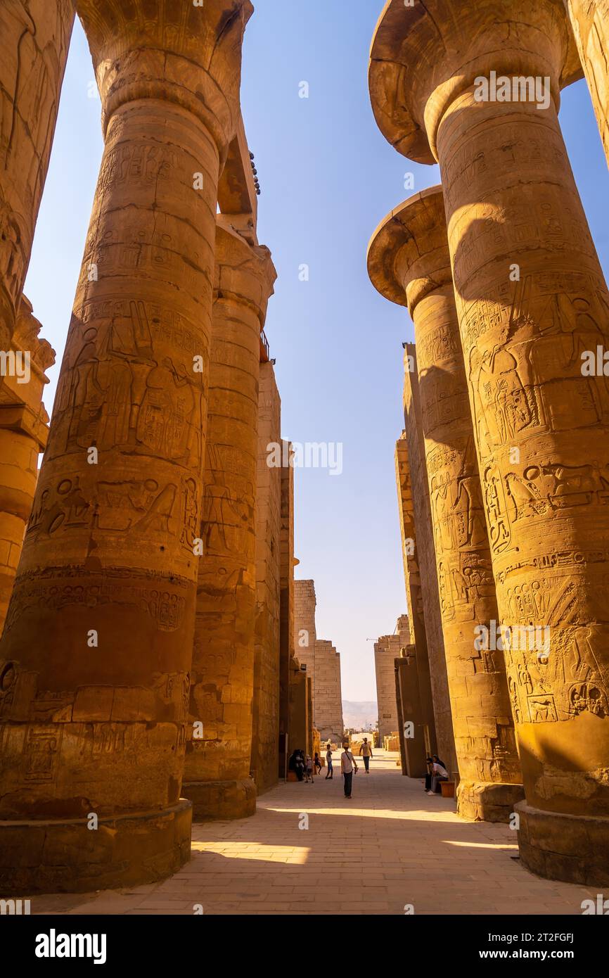 Détail des colonnes avec des dessins égyptiens du temple de Karnak, le grand sanctuaire d'Amon. Égypte Banque D'Images