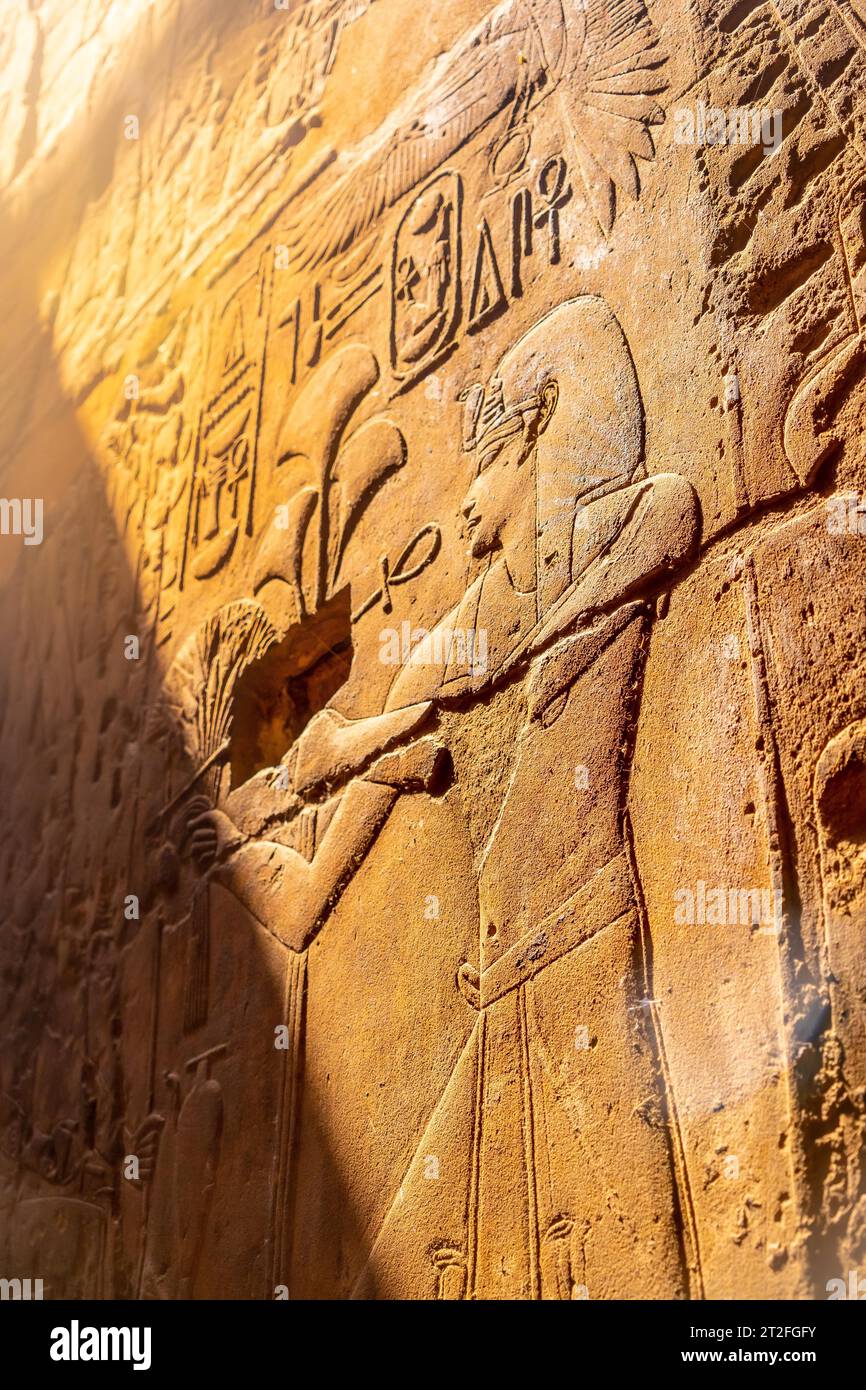 Détail de la belle lumière naturelle sur un ancien dessins égyptiens à l'intérieur du temple de Louxor, en Égypte Banque D'Images