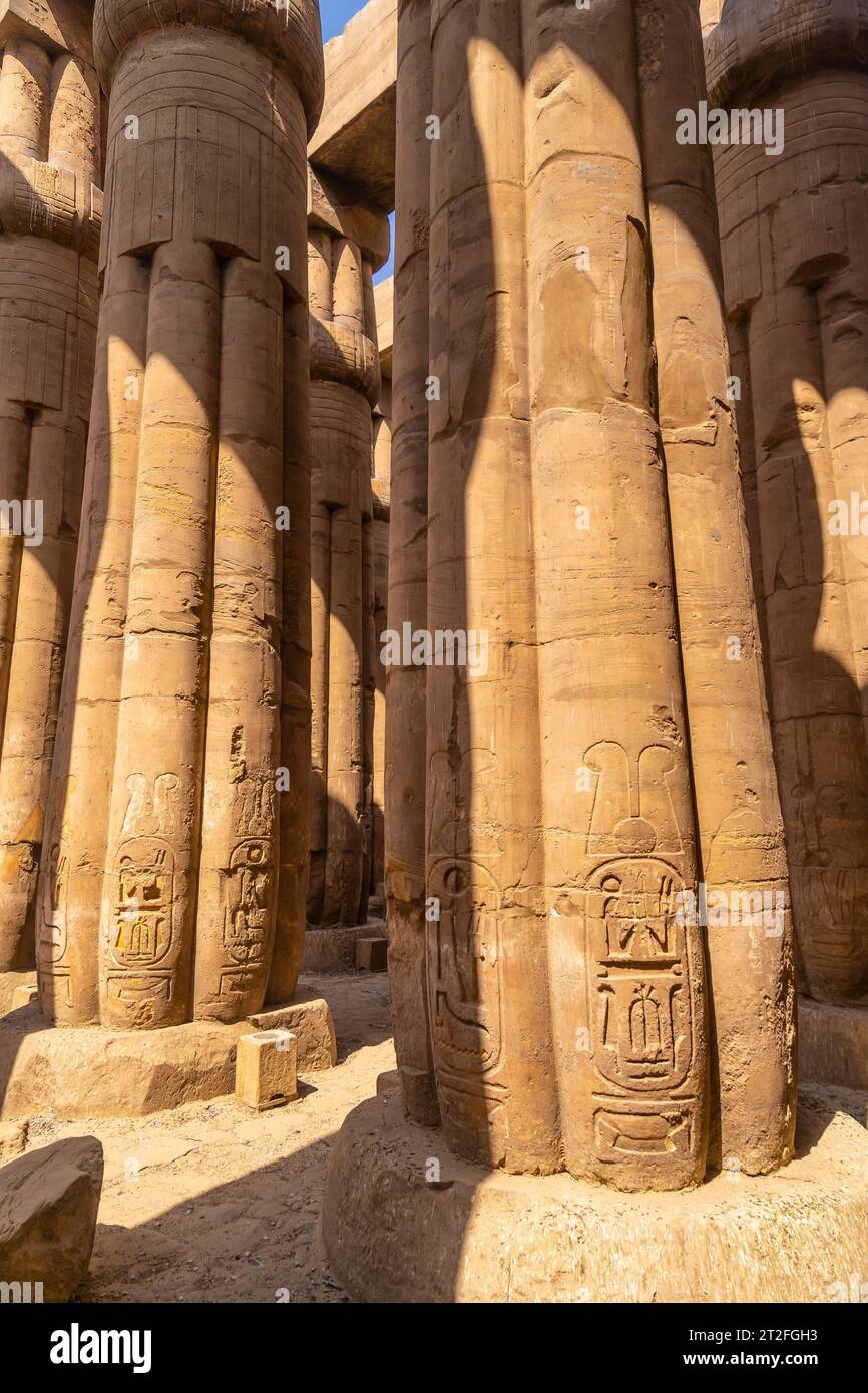Colonnes précieuses avec des dessins égyptiens antiques dans le temple de Louxor, en Égypte Banque D'Images