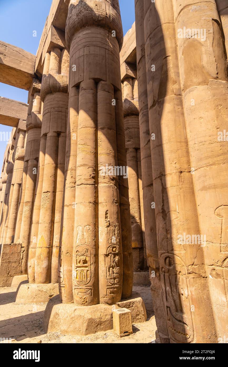 Colonnes précieuses avec des dessins égyptiens antiques dans le temple de Louxor, en Égypte Banque D'Images