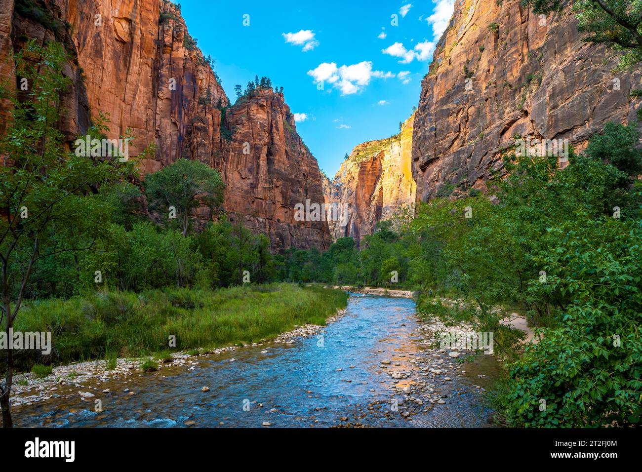 Les belles vues sur le canyon du parc national de Zion. États-Unis Banque D'Images