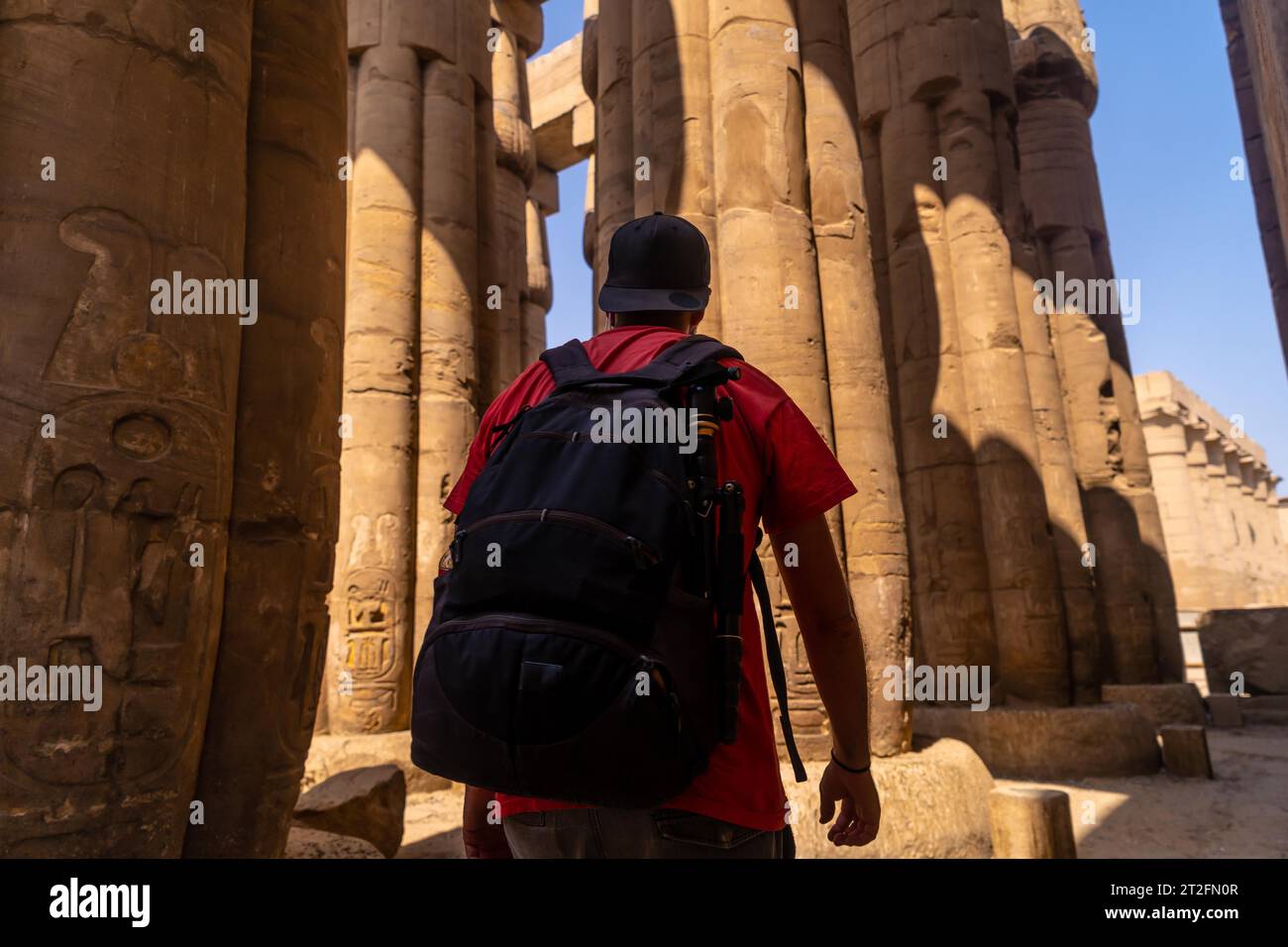 Un photographe regardant des dessins égyptiens anciens sur les colonnes du temple de Louxor, en Égypte Banque D'Images