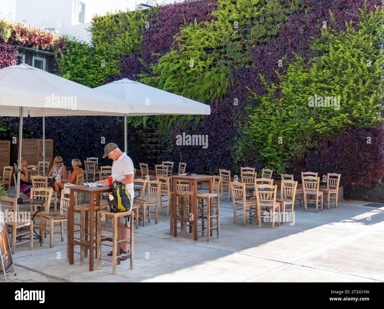 Le Livre vert mur vivant dans la vieille ville de Paphos, Chypre. Le jardin vertical a été créé par jardin designer Thanasis Evripidou et fait de de 2 244 plantes. Banque D'Images