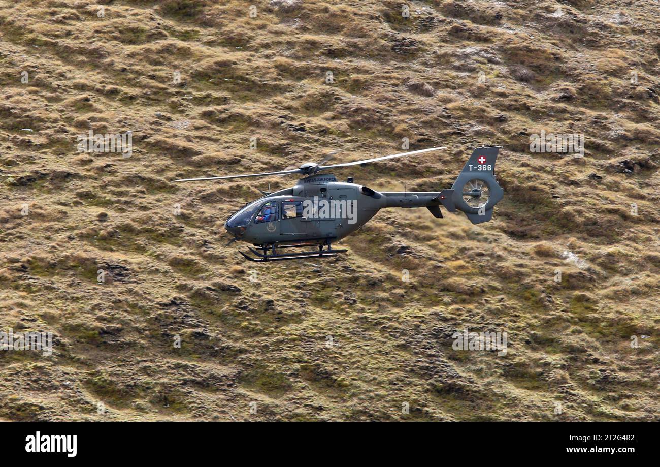 Ein Hubschrauber vom Typ Eurocopter EC 135 ( D, Foto ist honorarpflichtig  ! Zzgl. gesetzl. MwSt. (7 %)