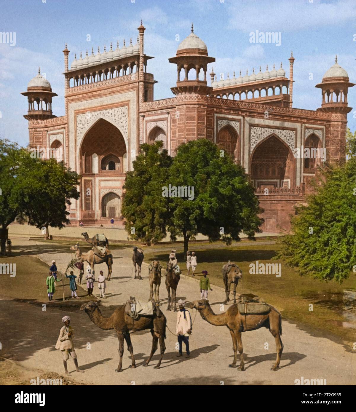 Les chameaux attendent du côté sud-est de Darwaza-i-Rauza (porte d'entrée) au célèbre Taj Mahal, Agra, Inde. 1903. Par Underwood & Underwood. Banque D'Images