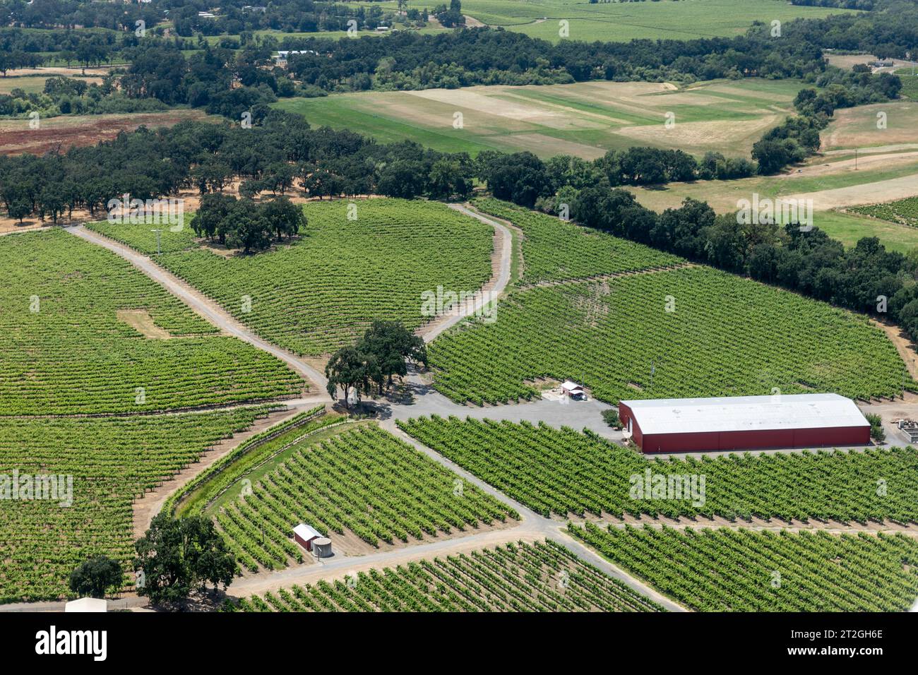 Vue aérienne des routes traversant les cultures vertes fertiles des vignobles du nord de la Californie Banque D'Images