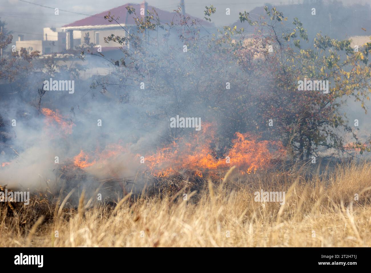 les feux de steppe pendant une sécheresse sévère détruisent complètement les champs. La catastrophe cause régulièrement des dommages à l'environnement et à l'économie de la région. Le feu menace Banque D'Images