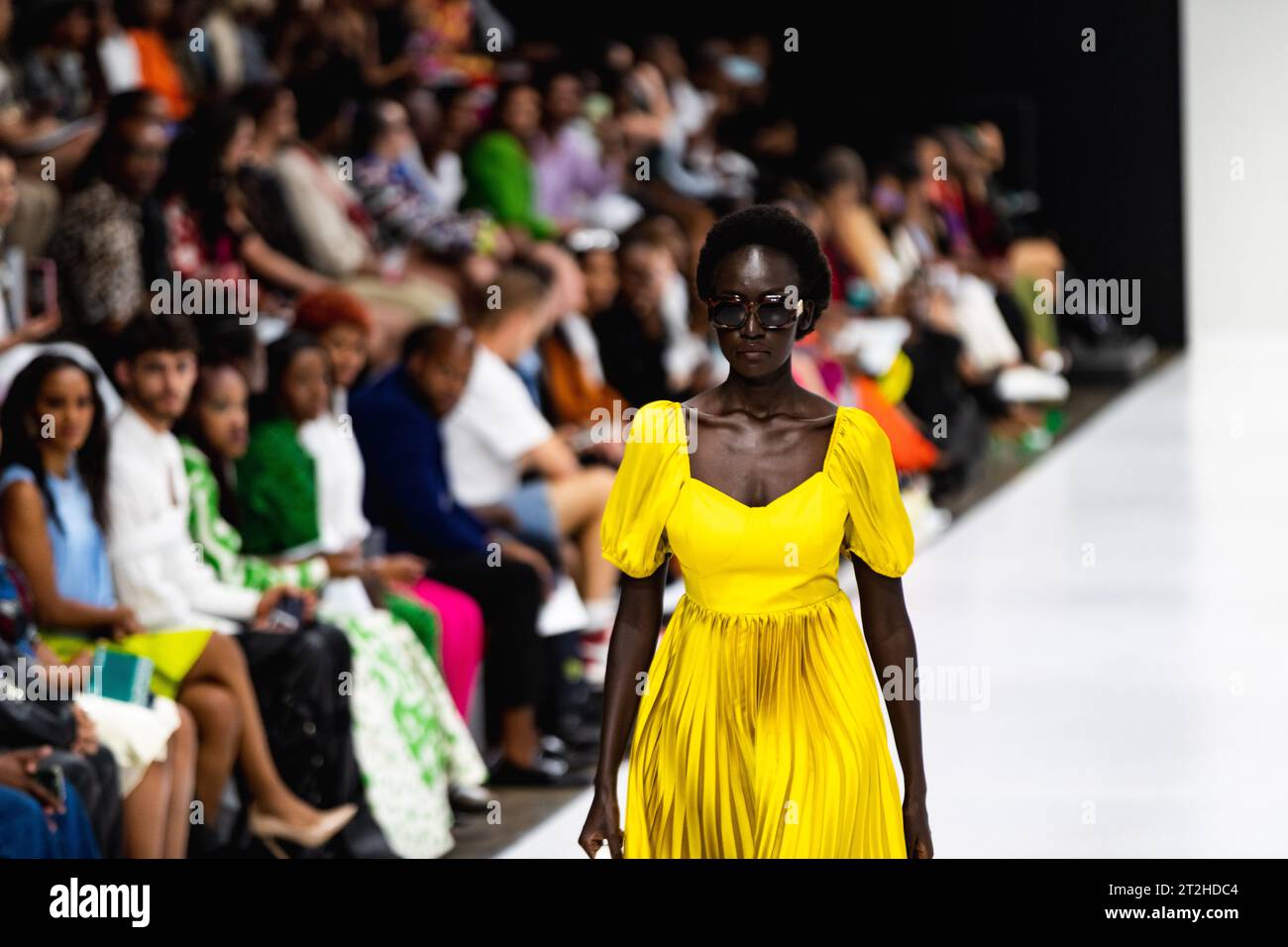 Johannesburg, Afrique du Sud. 19 octobre 2023. Un mannequin présente une création des collections automne/hiver 2024 d'Elwen Designs lors de la Fashion week sud-africaine à Johannesburg, Afrique du Sud, le 19 octobre 2023. Crédit : Zhang Yudong/Xinhua/Alamy Live News Banque D'Images