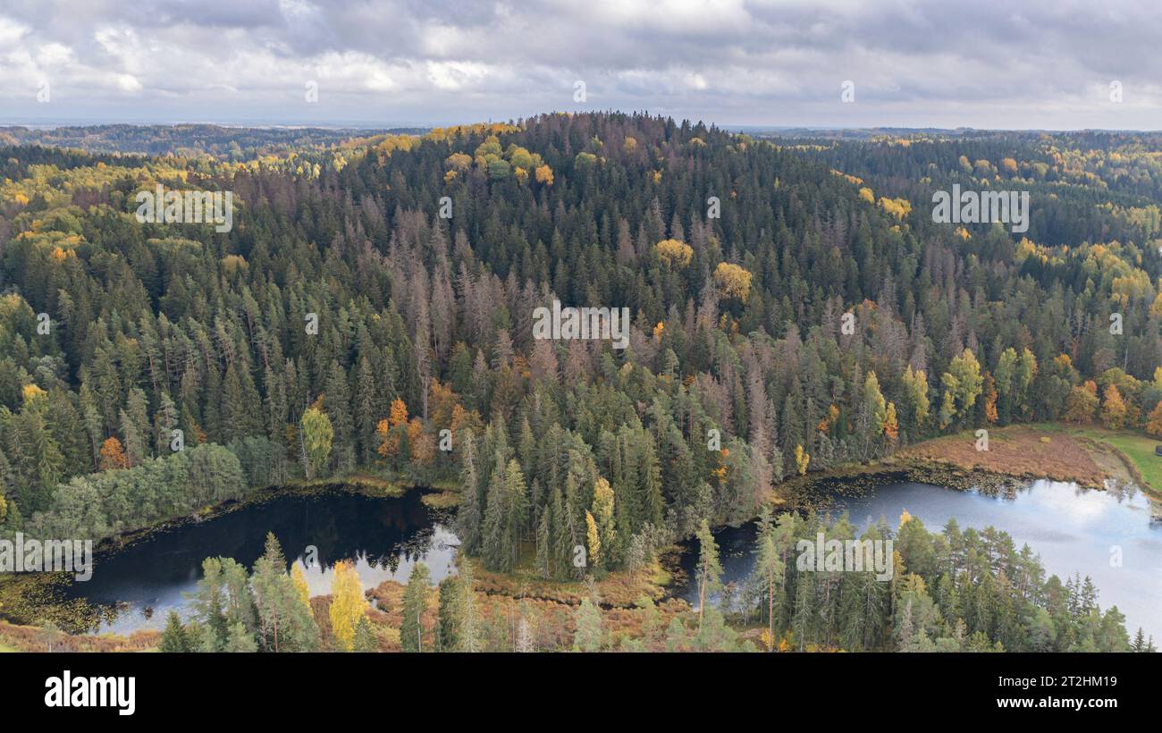 Une vue aérienne d'un magnifique paysage boisé dans le comté de Voru, Estonie Banque D'Images
