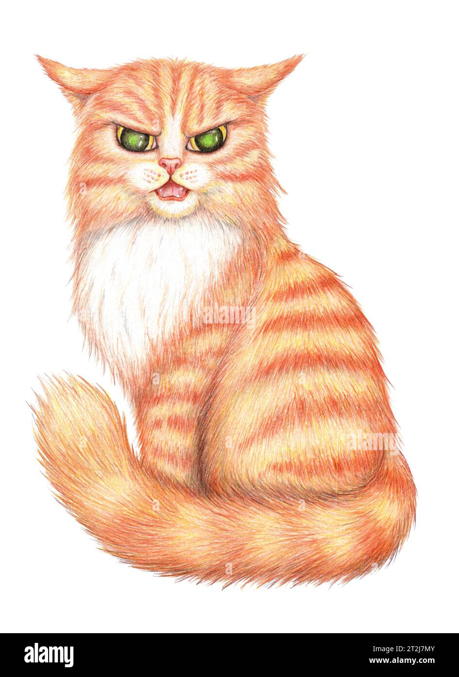Illustration au crayon coloré d'un chat gingembre en colère. Chaton avec de grands yeux jaunes mécontents. Dessin drôle de chatte de dessin animé pour des impressions. Isolé sur blanc Banque D'Images