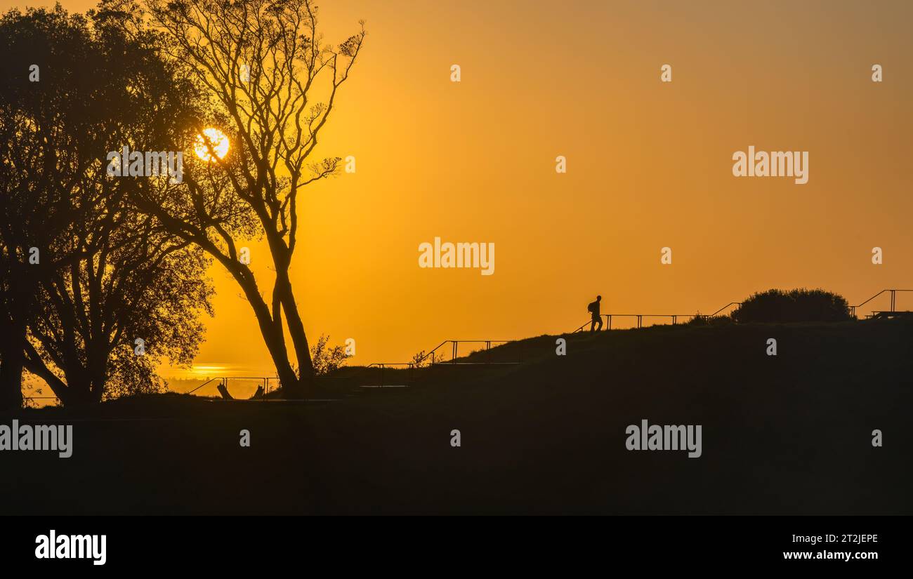 Image de silhouette d'un homme marchant sur les marches de la promenade avec le soleil se levant au-dessus des arbres. Sommet du Mont Eden. Auckland. Banque D'Images