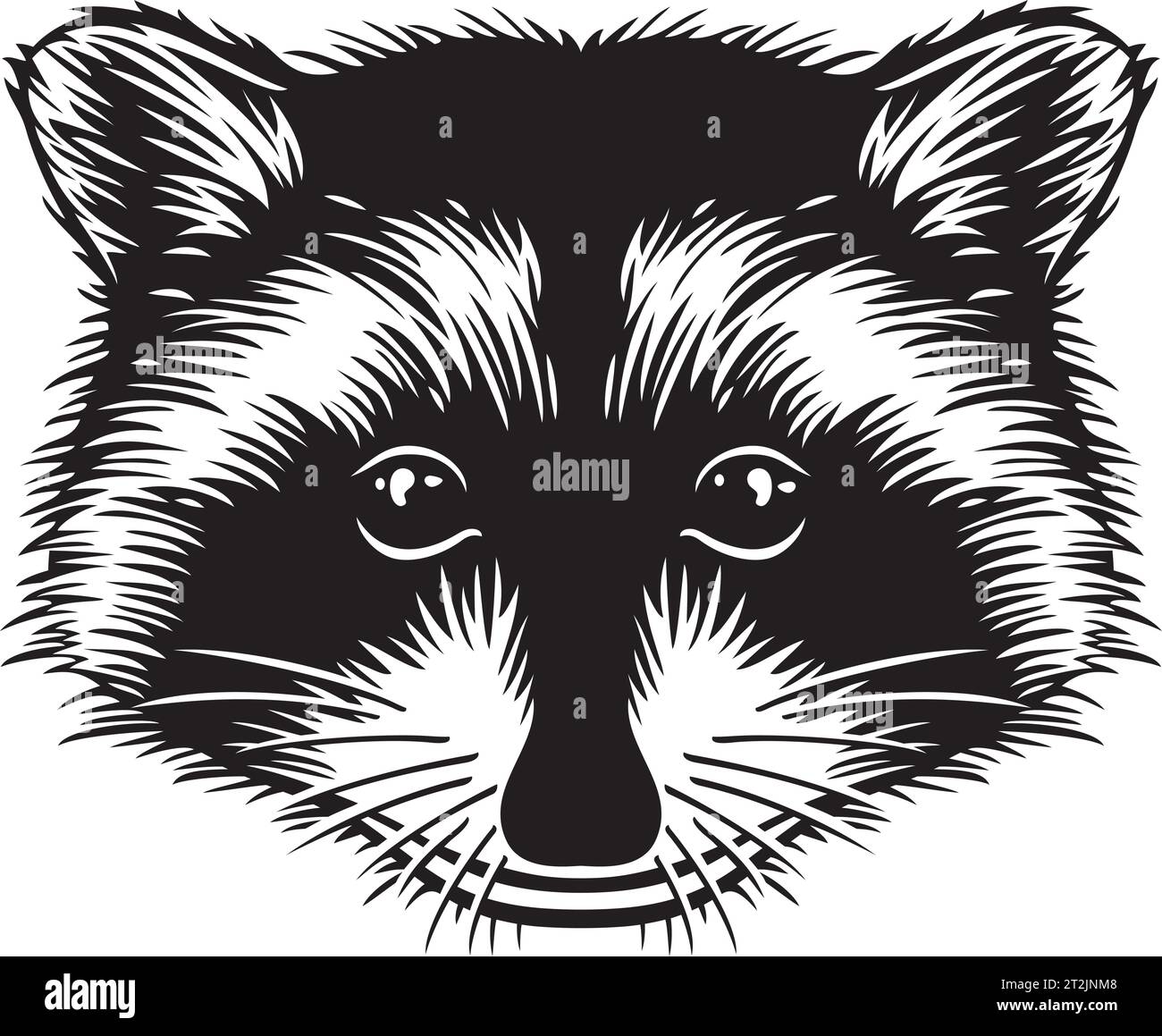 Tête de raton laveur noir et blanc. Illustration vectorielle. Illustration de Vecteur