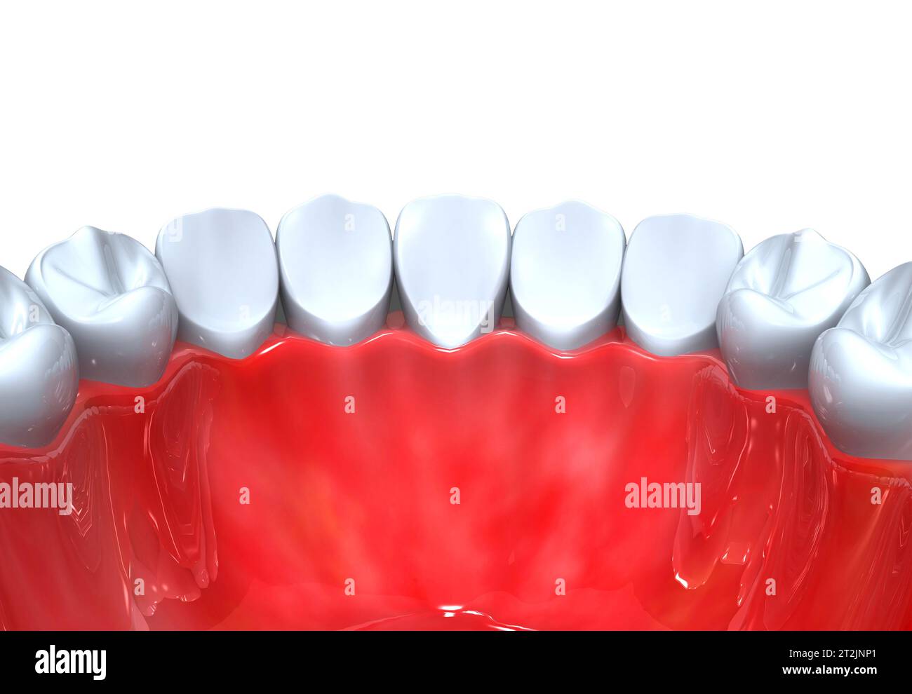 Anatomie dentaire. rendu 3d. Banque D'Images