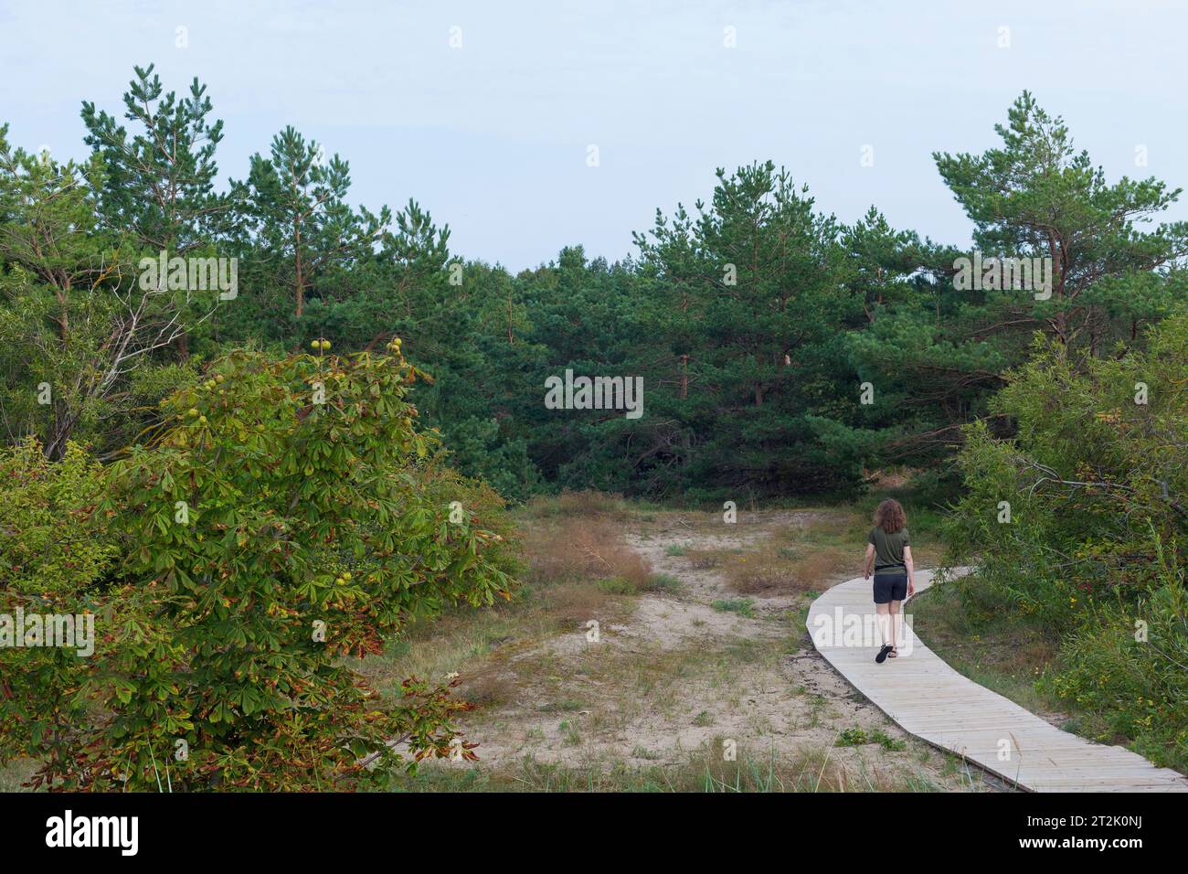 Chemins en bois sur le sable près de la ville de Klaipeda en Lituanie Banque D'Images