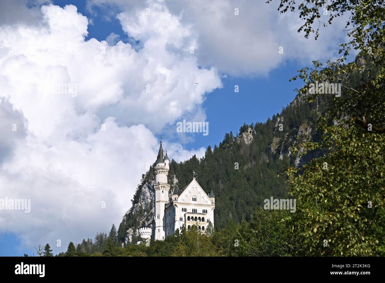 Château de Neuschwanstein dans le Allgäu bavarois près de Füssen, Allemagne Banque D'Images