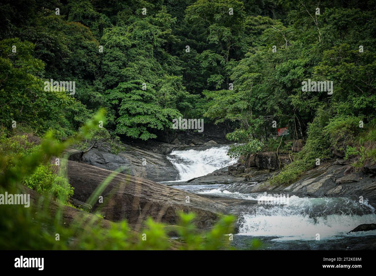 Beau paysage d'une montagne thrigh branches d'arbre, de Kakkadampoyil, Kerala Banque D'Images