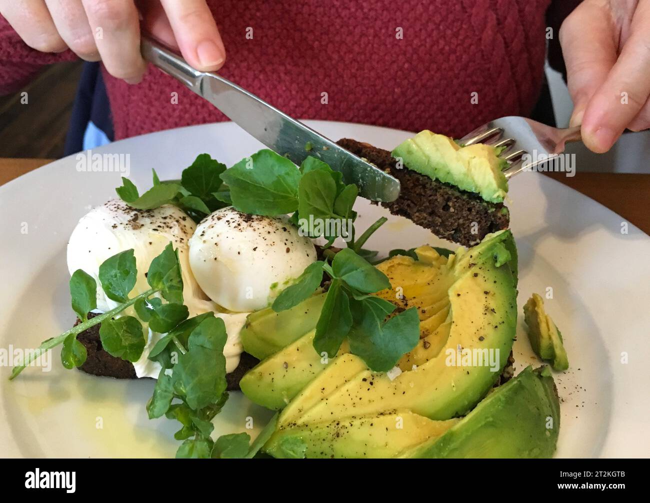 Femme mangeant de l'avocat et du fromage mozzarella, pousses de pois sur du pain noir pour le brunch Banque D'Images