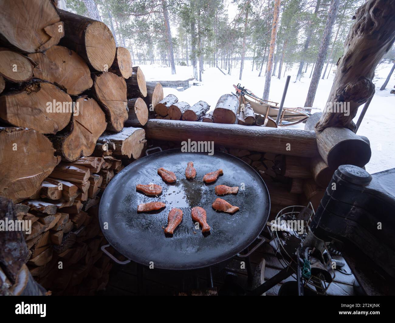 Cuisson du saumon sur une cabane en bois dans une forêt finlandaise Banque D'Images