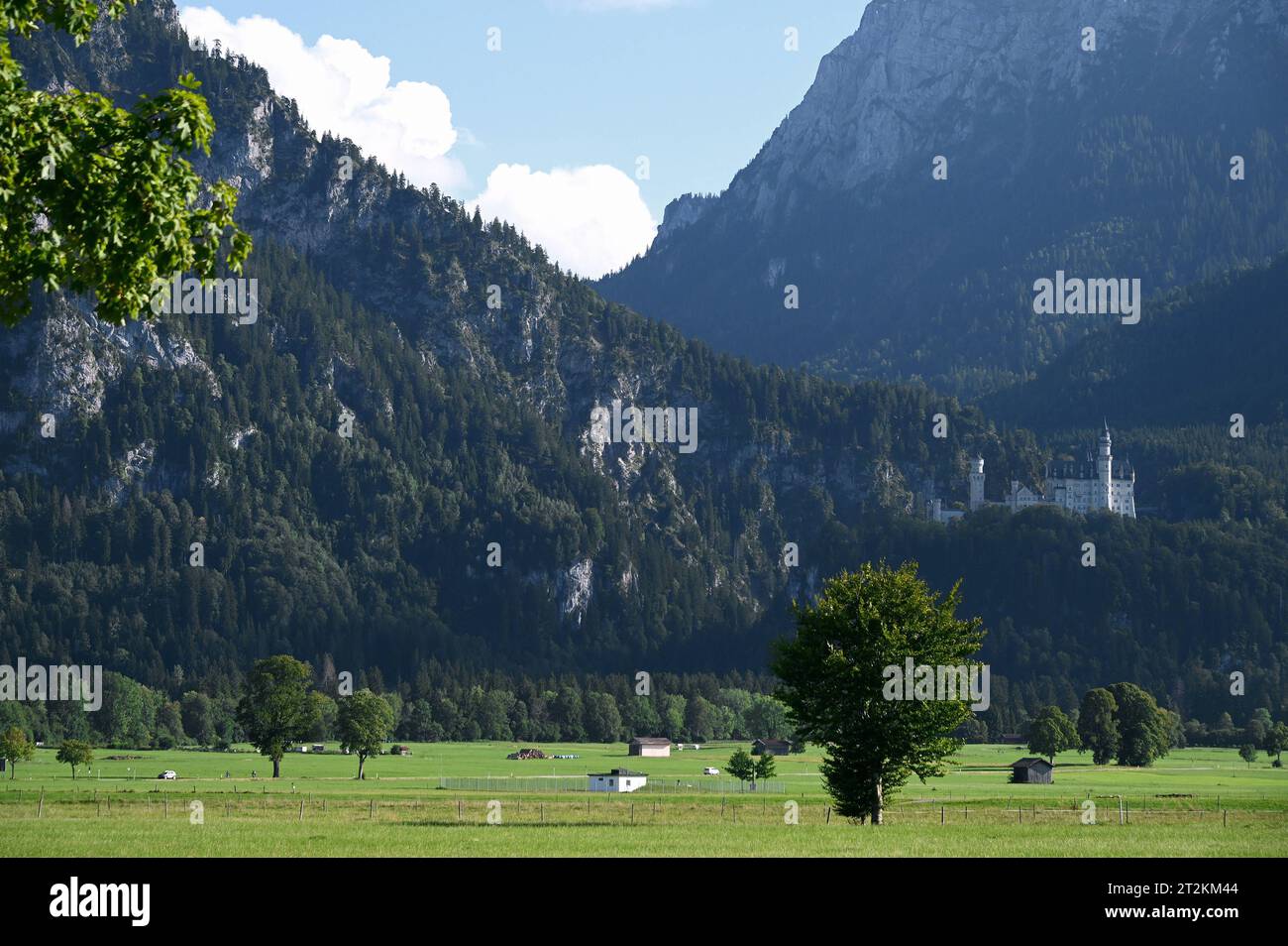 Schloss Neuschwanstein im bayerischen Allgäu BEI Füssen, Deutschland *** Château de Neuschwanstein en Bavière Allgäu près de Füssen, Allemagne crédit : Imago/Alamy Live News Banque D'Images