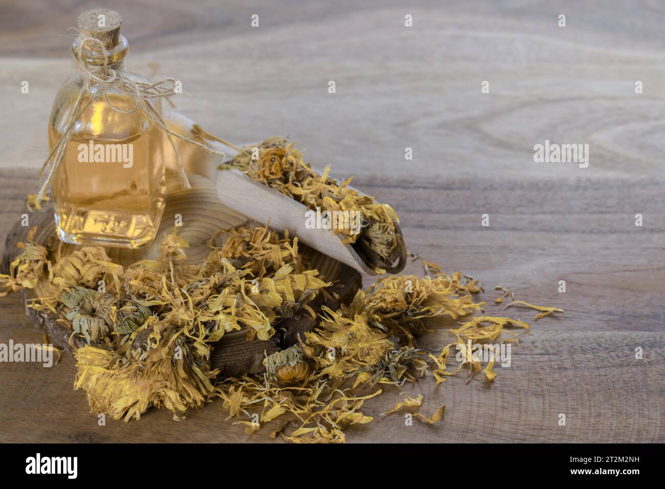 Fleurs séchées de calendula (Calendula officinalis), dans une cuillère en bois sur une tranche de branche d'arbre avec une bouteille d'huile essentielle de calendula. Banque D'Images