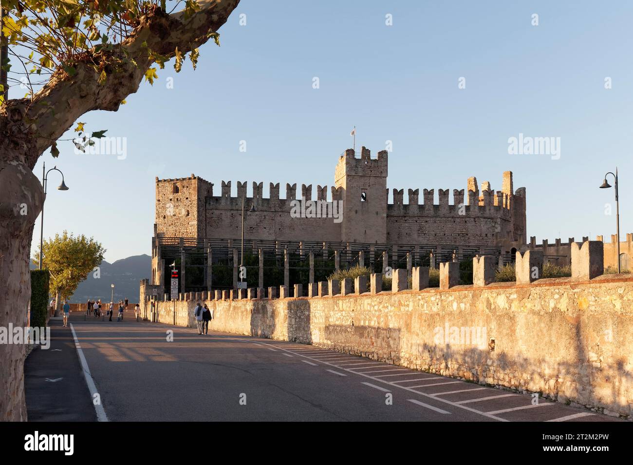 Château Scaliger et muraille médiévale dans la lumière du soir, Scaliger, Torri del Benaco, rive est du lac de Garde, province de Vérone, Italie Banque D'Images